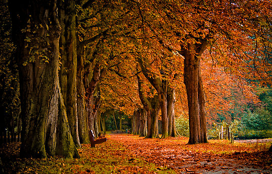 autumn_day-1198