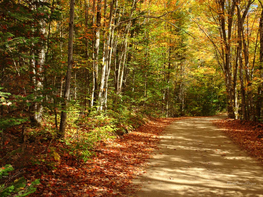 autumn_scene_9